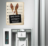 Ibizan Hound Mugshot Bad Dog Fridge refrigerator Car Magnet