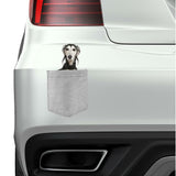 Saluki Dog in pocket Fridge Car Magnet Bumper Sticker App size 4"x7"