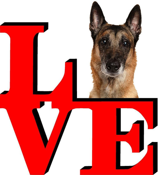 Belgian Malinois Love Park Cute Dog Fridge Refrigerator Car Magnet