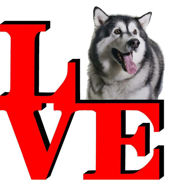 Alaskan Malamute Love Park Cute Dog Fridge Refrigerator Car Magnet