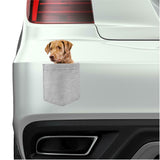 Chesapeake Bay Retriever in pocket Fridge Car Magnet Bumper Sticker