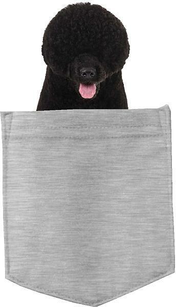 Portuguese Water D Dog in pocket Fridge Car Magnet Bumper Sticker App size 4"x7"