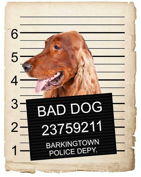 Irish Setter Mugshot Bad Dog Fridge refrigerator Car Magnet