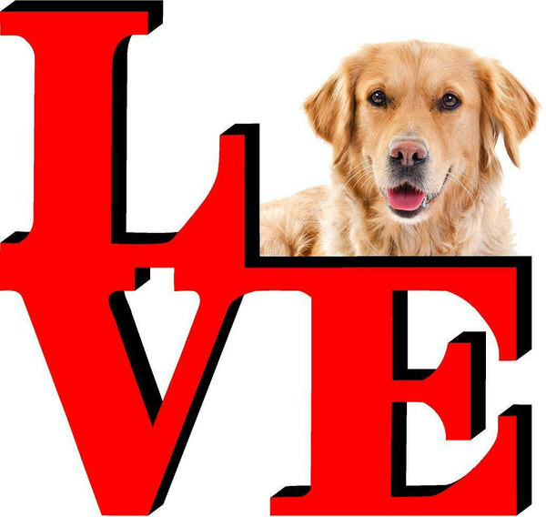 Golden Retriever Dog Love Park Dog Fridge Refrigerator Car Magnet