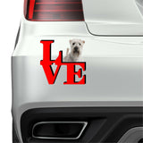 Soft Coated Wheaten Terrier Cute Dog Fridge Refrigerator Car Magnet
