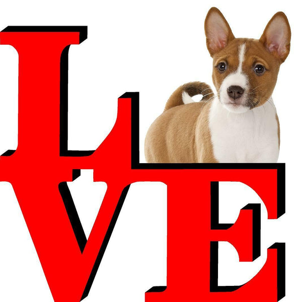 Basenji Love Park Cute Dog Fridge Refrigerator Car Magnet