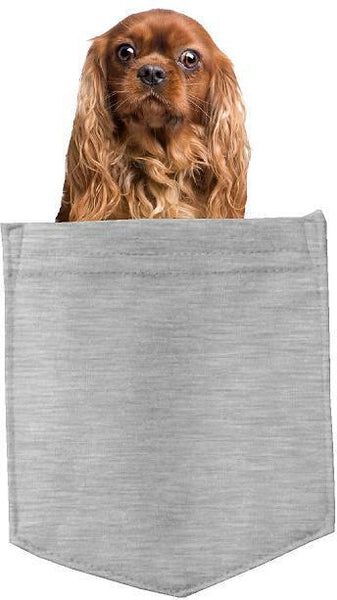 Cavalier King Charles in pocket Fridge Car Magnet Bumper Sticker App size 4"x7"