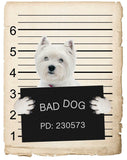 West Highland Terrier Mugshot Bad Dog Fridge refrigerator Car Magnet