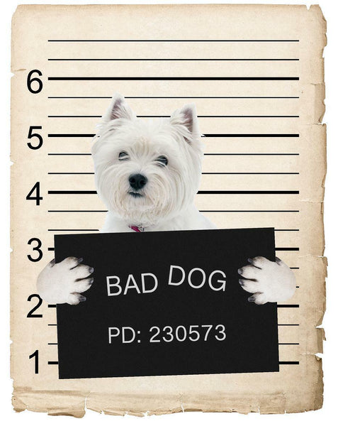 West Highland Terrier Mugshot Bad Dog Fridge refrigerator Car Magnet