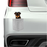 Yorkshire Terrier Dog in pocket Fridge Car Magnet Bumper Sticker App size 4"x7"