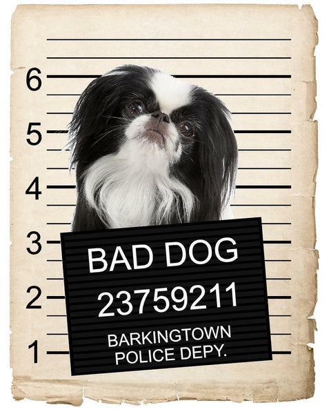 Japanese Chin Mugshot Bad Dog Fridge refrigerator Car Magnet
