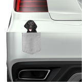 Retriever Curly-Coated in pocket Fridge Car Magnet Bumper Sticker App size 4"x7"