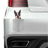 Boston Terrier Dog in pocket Fridge Car Magnet Bumper Sticker App size 4"x7"