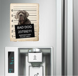 Neapolitan Mastiff Mugshot Bad Dog Fridge refrigerator Car Magnet