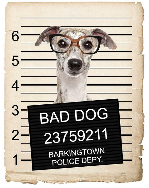 Greyhound with Glasses Mugshot Bad Dog Fridge refrigerator Car Magnet