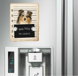 Shetland Sheepdog Mugshot Bad Dog Fridge refrigerator Car Magnet