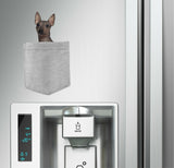 American Hairless Dog in pocket Fridge Car Magnet Bumper Sticker App size 4"x7"