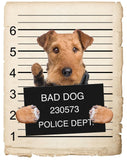 Airedale Terrier Mugshot Bad Dog Fridge refrigerator Car Magnet Bumper Sticker