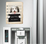 Coton De Tulear Mugshot Bad Dog Fridge refrigerator Car Magnet