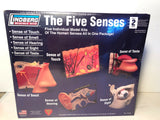 Lindberg ~ The Five Senses ~ Science Kit ~ NEW