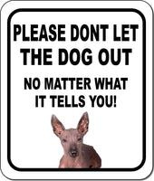 PLEASE DONT LET THE DOG OUT Xoloitzcuintli Metal Aluminum Composite Sign