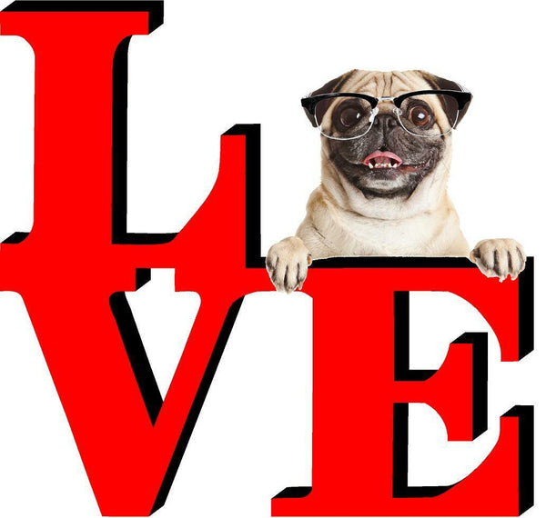 Pug Park Cute Dog Fridge Refrigerator Car Magnet