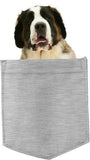 Saint Bernard Dog in pocket Fridge Car Magnet Bumper Sticker App size 4"x7"