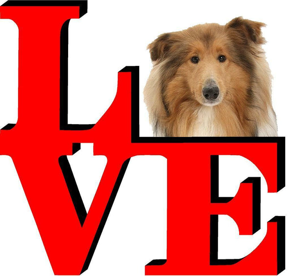 Collie Dog Love Park Dog Fridge Refrigerator Car Magnet