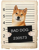 Shiba Inu Mugshot Bad Dog Fridge refrigerator Car Magnet