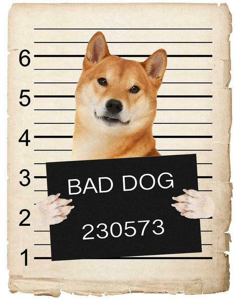 Shiba Inu Mugshot Bad Dog Fridge refrigerator Car Magnet