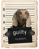Weimaraner Mugshot Bad Dog Fridge refrigerator Car Magnet