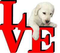 Yellow Lab Dog Love Park Dog Fridge Refrigerator Car Magnet
