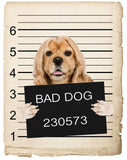 American Cocker Spaniel Mugshot Bad Dog Fridge refrigerator Car Magnet