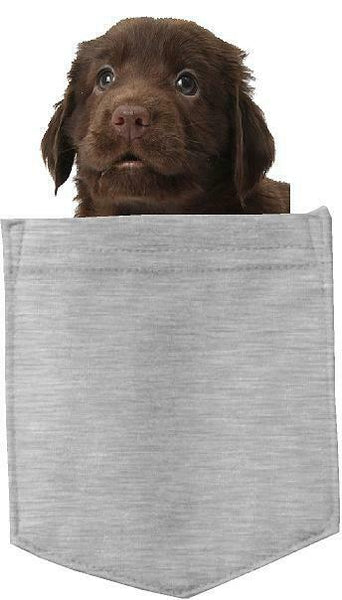 Retriever Flat-Coated in pocket Fridge Car Magnet Bumper Sticker App size 4"x7"