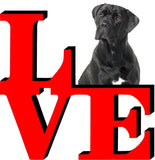 Cane Corso Dog Love Park Cute Dog Fridge Refrigerator Car Magnet