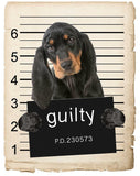 Black and Tan Coonhound Mugshot Bad Dog Fridge refrigerator Car Magnet