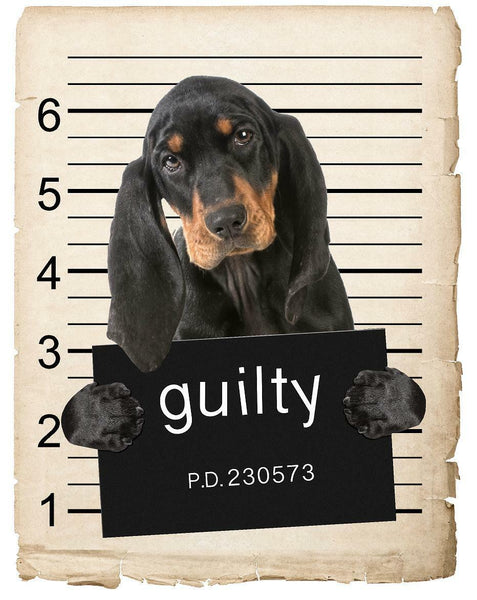 Black and Tan Coonhound Mugshot Bad Dog Fridge refrigerator Car Magnet