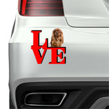 Cavalier King Charles Spaniel Dog Love Park Dog Fridge Refrigerator Car Magnet