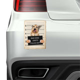 Berger Picard Mugshot Bad Dog Fridge refrigerator Car Magnet