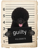 Portuguese Water Dog Mugshot Bad Dog Fridge refrigerator Car Magnet