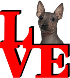 American Hairless Terrier Love Park Cute Dog Fridge Refrigerator Car Magnet