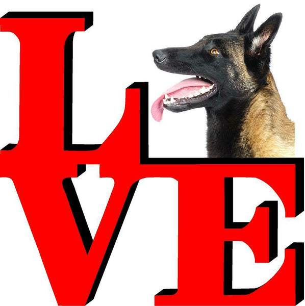 Belgian Sheepdog Love Park Cute Dog Fridge Refrigerator Car Magnet