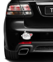 Smudge the Cat Meme MAGNET Magnetic Bumper Sticker Offended Funny Confused Cat