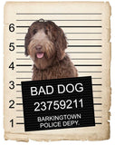 Labradoodle Mugshot Bad Dog Fridge refrigerator Car Magnet