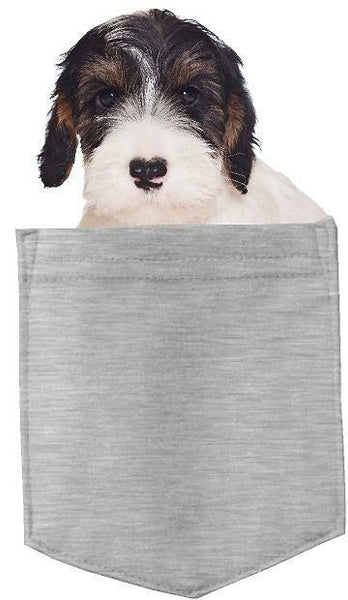 Sealyham Terrier Dog in pocket Fridge Car Magnet Bumper Sticker App size 4"x7"