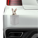 Bull Terrier Dog in pocket Fridge Car Magnet Bumper Sticker App size 4"x7"