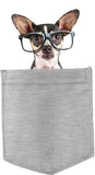 Chihuahua with glasses in pocket Fridge Car Magnet Bumper Sticker App size 4"x7"