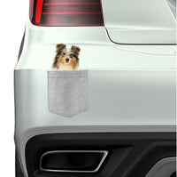 Shetland Sheepdog Dog in pocket Fridge Car Magnet Bumper Sticker App size 4"x7"