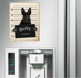 Scottish Terrier  Mugshot Bad Dog Fridge refrigerator Car Magnet