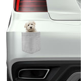 Maltese Dog in pocket Fridge Car Magnet Bumper Sticker App size 4"x7"